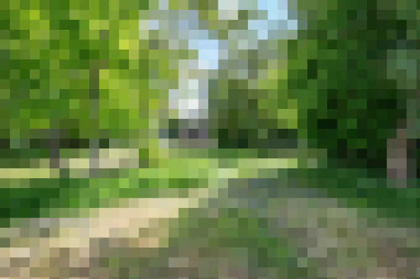 Hevenweg 2 Blokzijl thumbnail 28