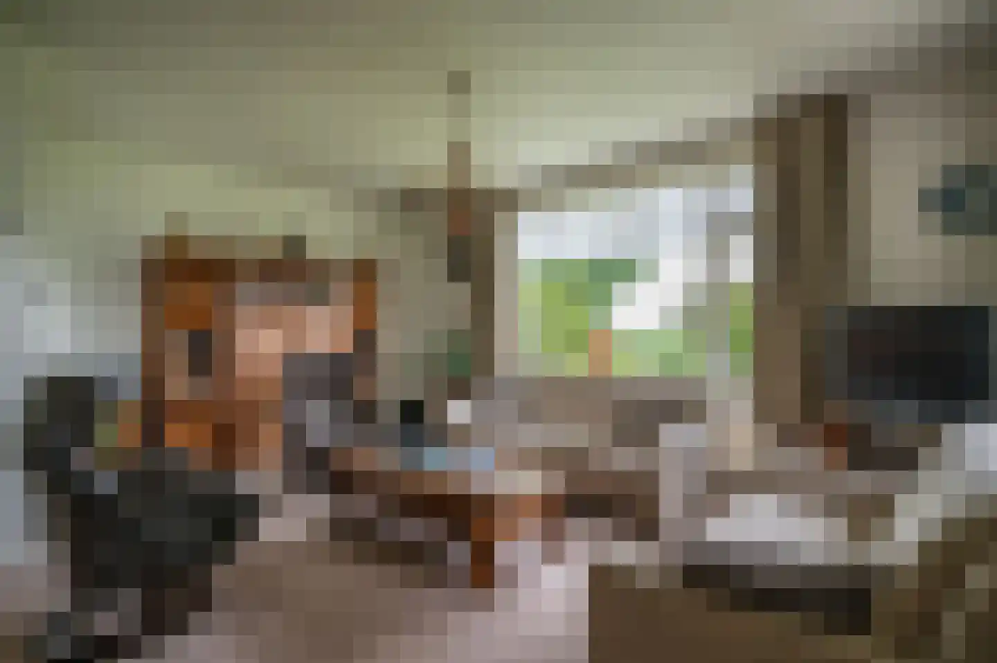 Hevenweg 2 Blokzijl thumbnail 5
