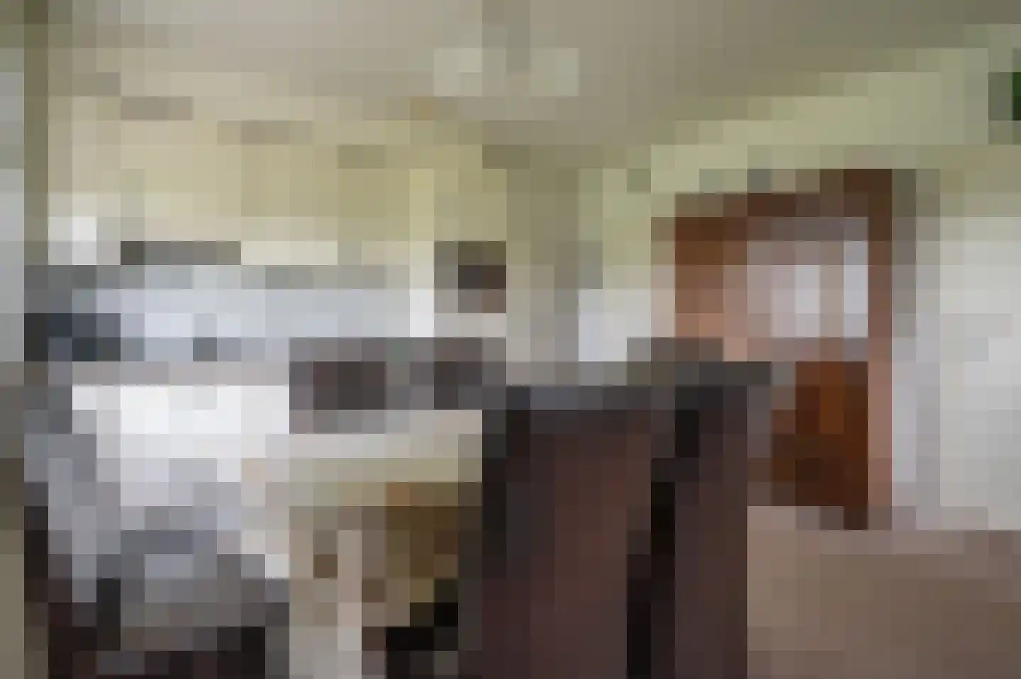 Hevenweg 2 Blokzijl thumbnail 7