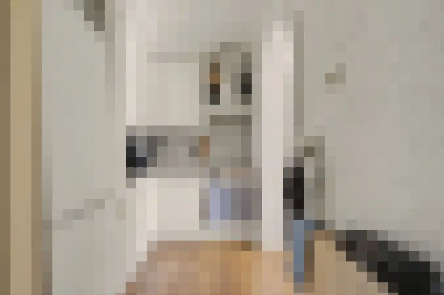 Heveringseweg 12 Rockanje thumbnail 16