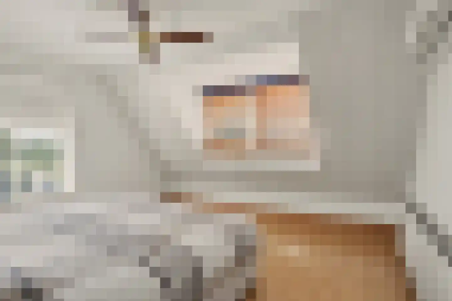 Heveringseweg 12 Rockanje thumbnail 23