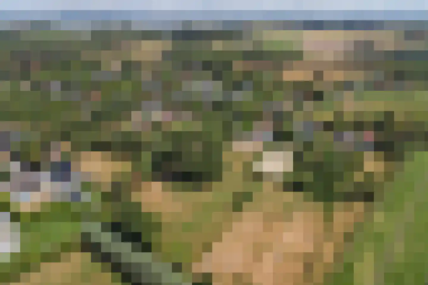 Heveringseweg 12 Rockanje thumbnail 57