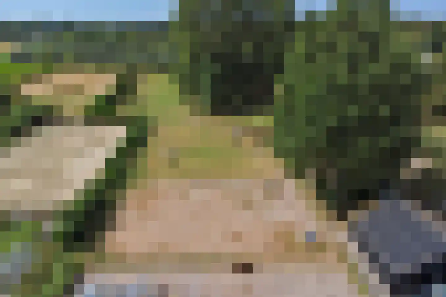 Heveringseweg 12 Rockanje thumbnail 58