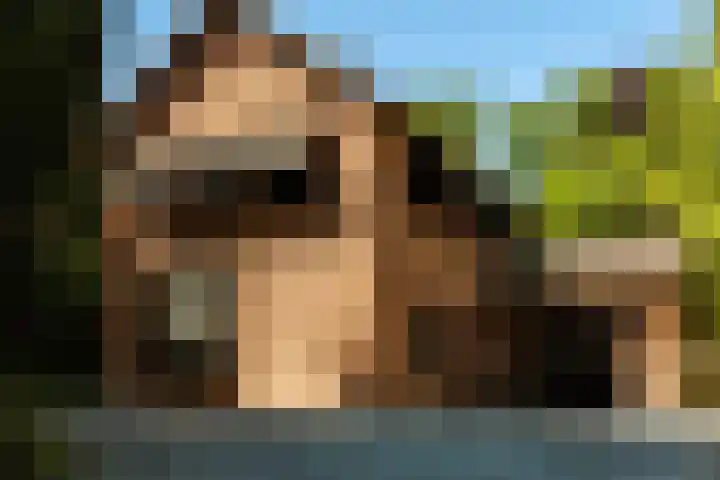 Heveringseweg 26 Oostvoorne thumbnail 11