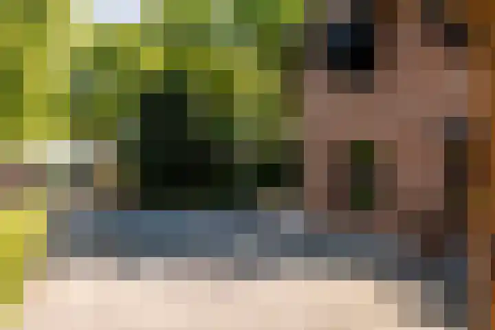Heveringseweg 26 Oostvoorne thumbnail 12
