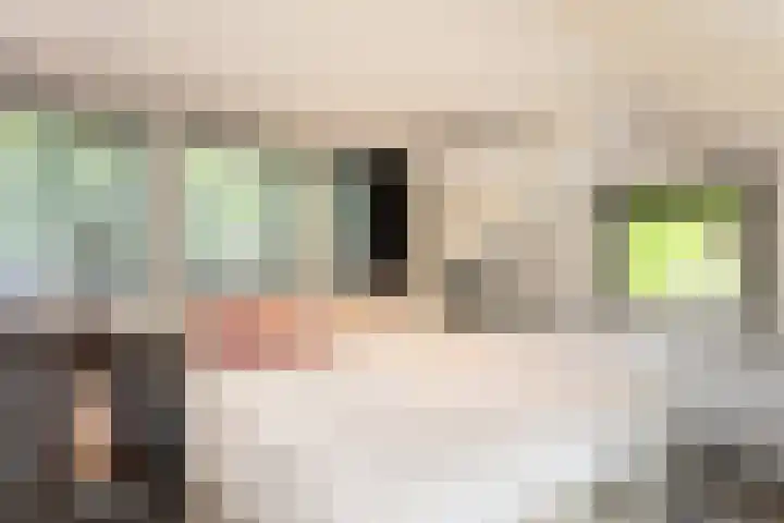 Heveringseweg 26 Oostvoorne thumbnail 35
