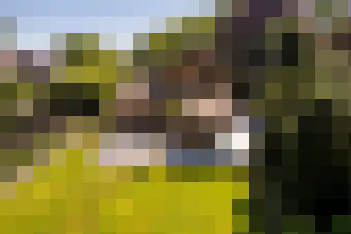 Heveringseweg 26 Oostvoorne thumbnail 38