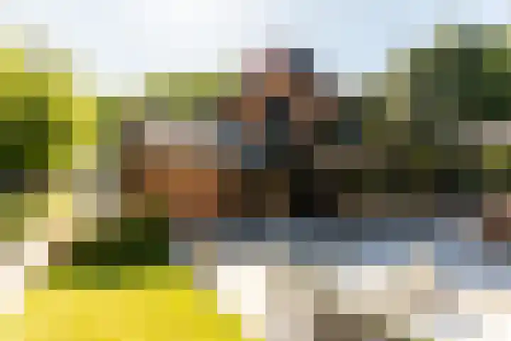 Heveringseweg 26 Oostvoorne thumbnail 40