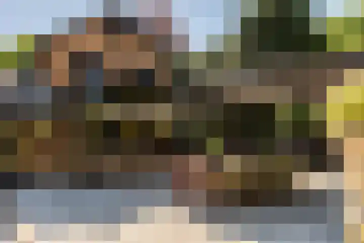 Heveringseweg 26 Oostvoorne thumbnail 41