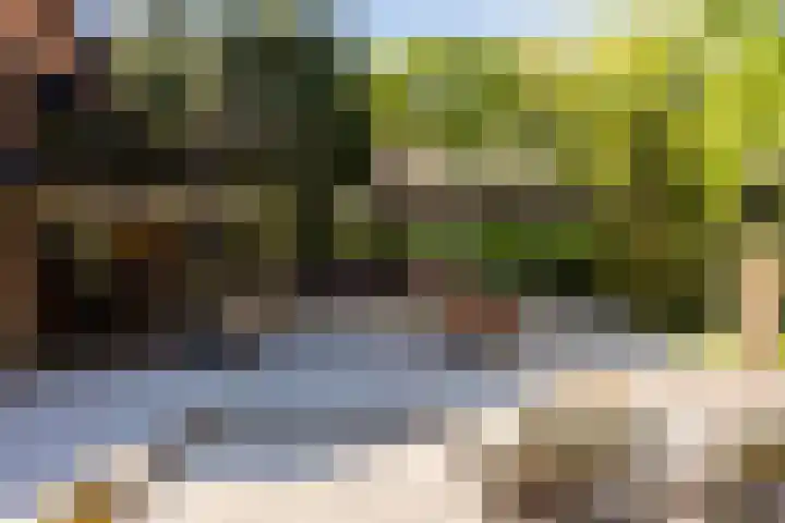 Heveringseweg 26 Oostvoorne thumbnail 42