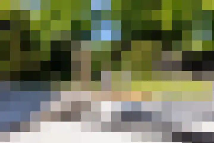 Heveringseweg 26 Oostvoorne thumbnail 43