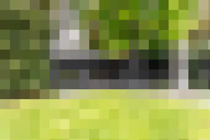 Heveringseweg 26 Oostvoorne thumbnail 44