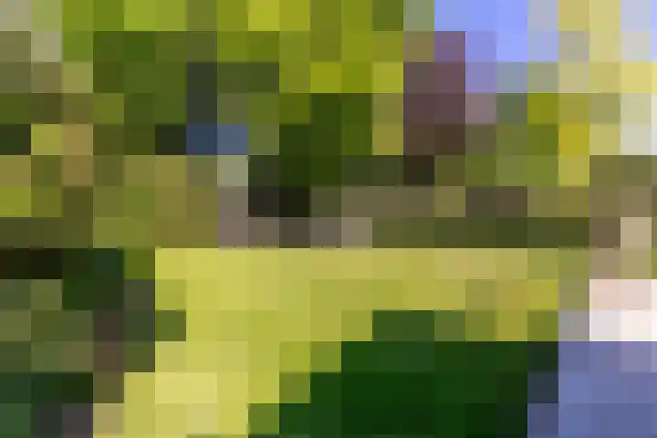 Heveringseweg 26 Oostvoorne thumbnail 46