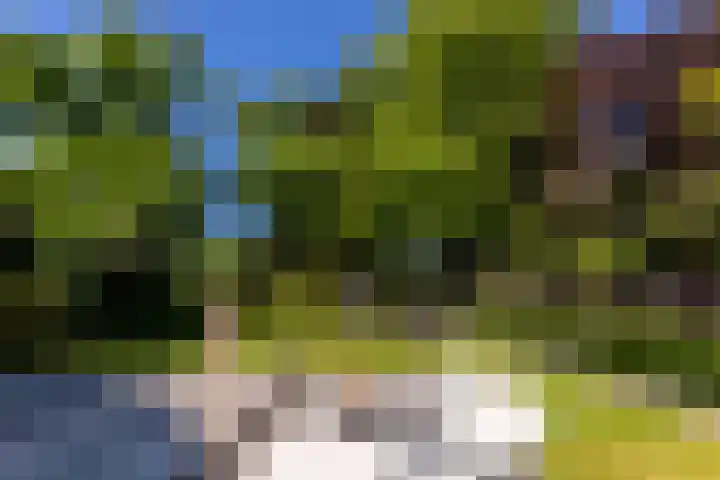 Heveringseweg 26 Oostvoorne thumbnail 47