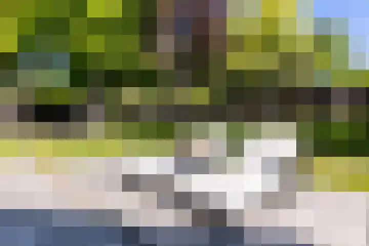 Heveringseweg 26 Oostvoorne thumbnail 48