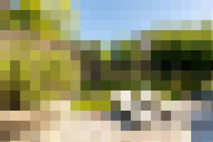Heveringseweg 26 Oostvoorne thumbnail 50