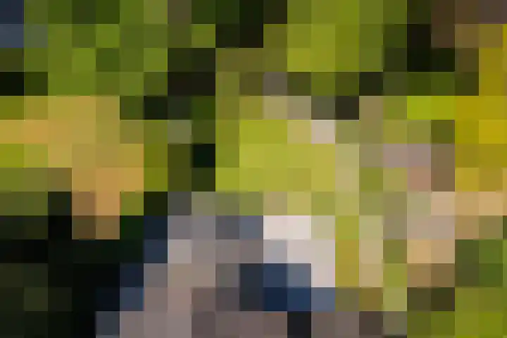 Heveringseweg 26 Oostvoorne thumbnail 53