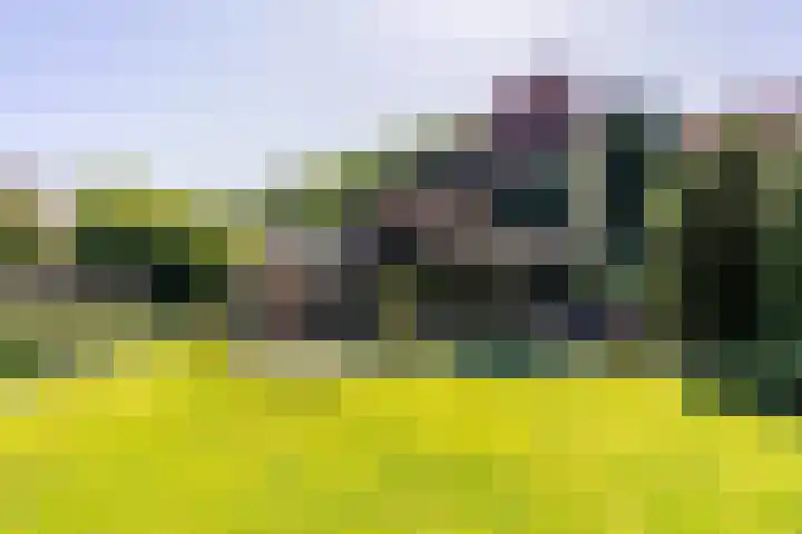 Heveringseweg 26 Oostvoorne thumbnail 59