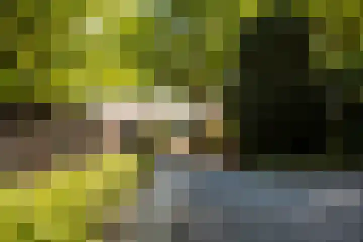 Heveringseweg 26 Oostvoorne thumbnail 7