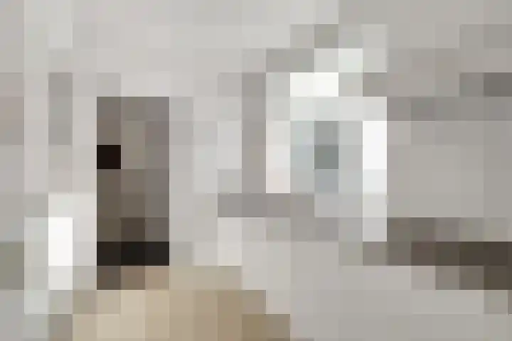 Heveringseweg 3 Oostvoorne thumbnail 13