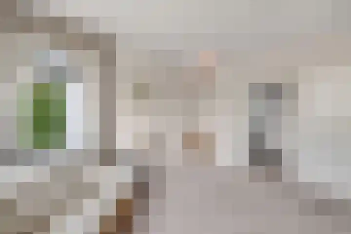 Heveringseweg 3 Oostvoorne thumbnail 18