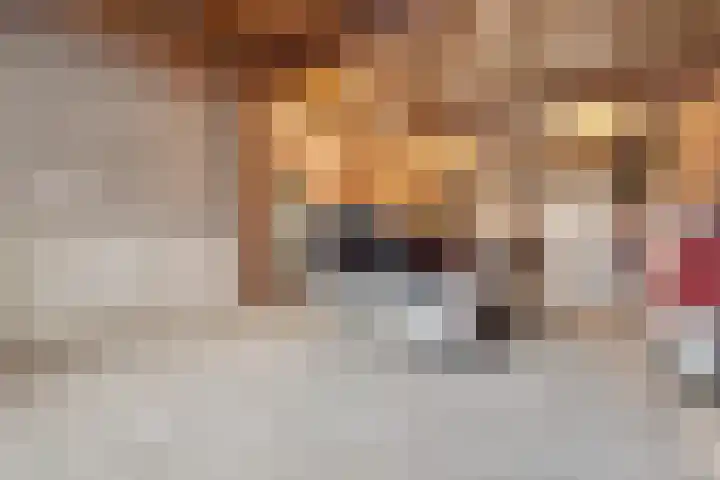 Heveringseweg 3 Oostvoorne thumbnail 32