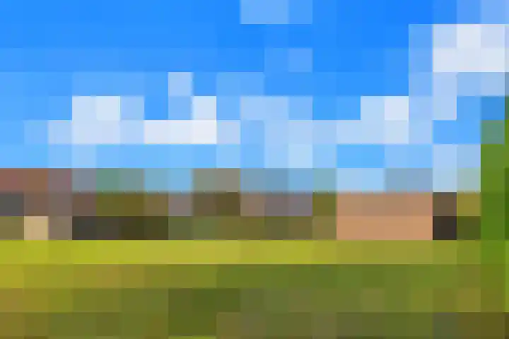 Heveringseweg 3 Oostvoorne thumbnail 36