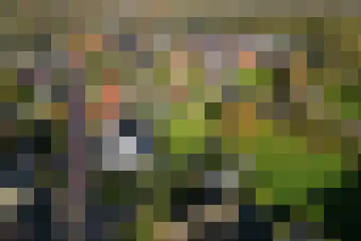 Heveringseweg 3 Oostvoorne thumbnail 38
