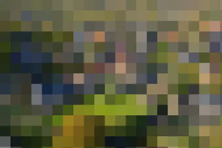 Heveringseweg 3 Oostvoorne thumbnail 40