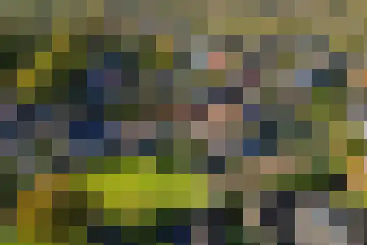 Heveringseweg 3 Oostvoorne thumbnail 41