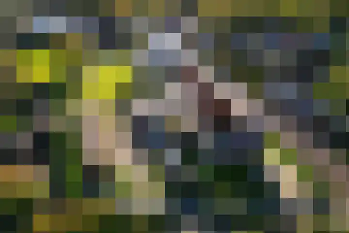 Heveringseweg 3 Oostvoorne thumbnail 43