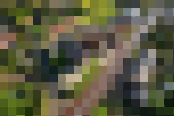 Heveringseweg 3 Oostvoorne thumbnail 44