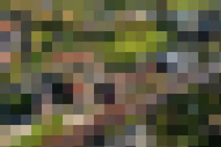 Heveringseweg 3 Oostvoorne thumbnail 45