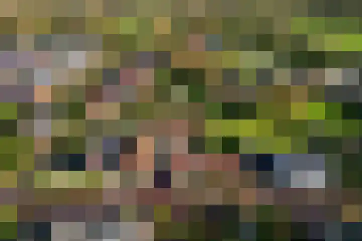 Heveringseweg 3 Oostvoorne thumbnail 46