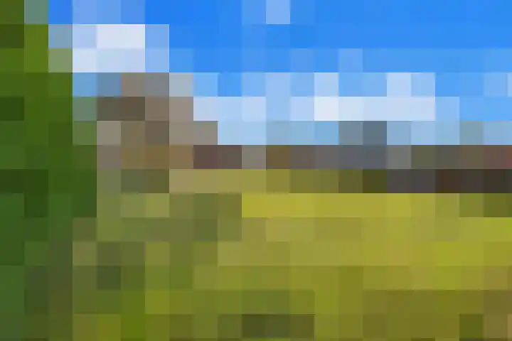Heveringseweg 3 Oostvoorne thumbnail 6