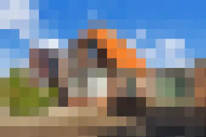 Heveringseweg 3 Oostvoorne thumbnail 8