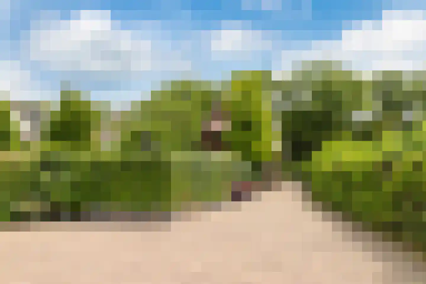 Heveringseweg 54 Oostvoorne thumbnail 37