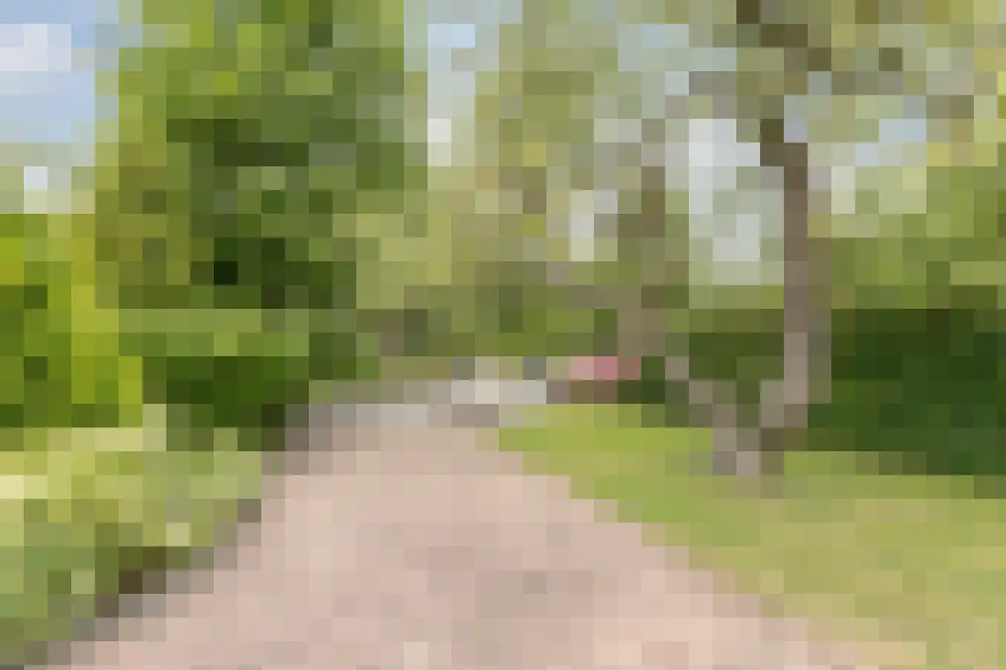 Heveringseweg 54 Oostvoorne thumbnail 43