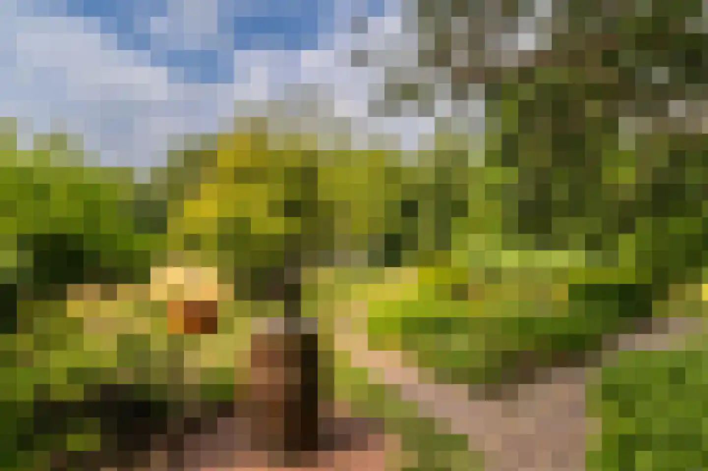 Heveringseweg 54 Oostvoorne thumbnail 47