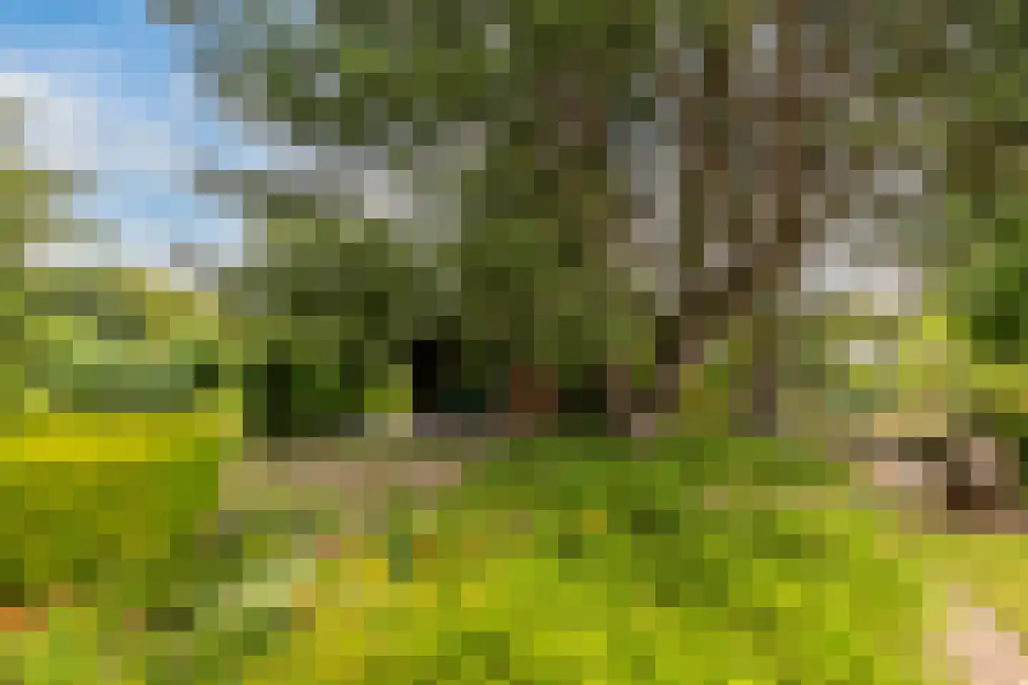 Heveringseweg 54 Oostvoorne thumbnail 48