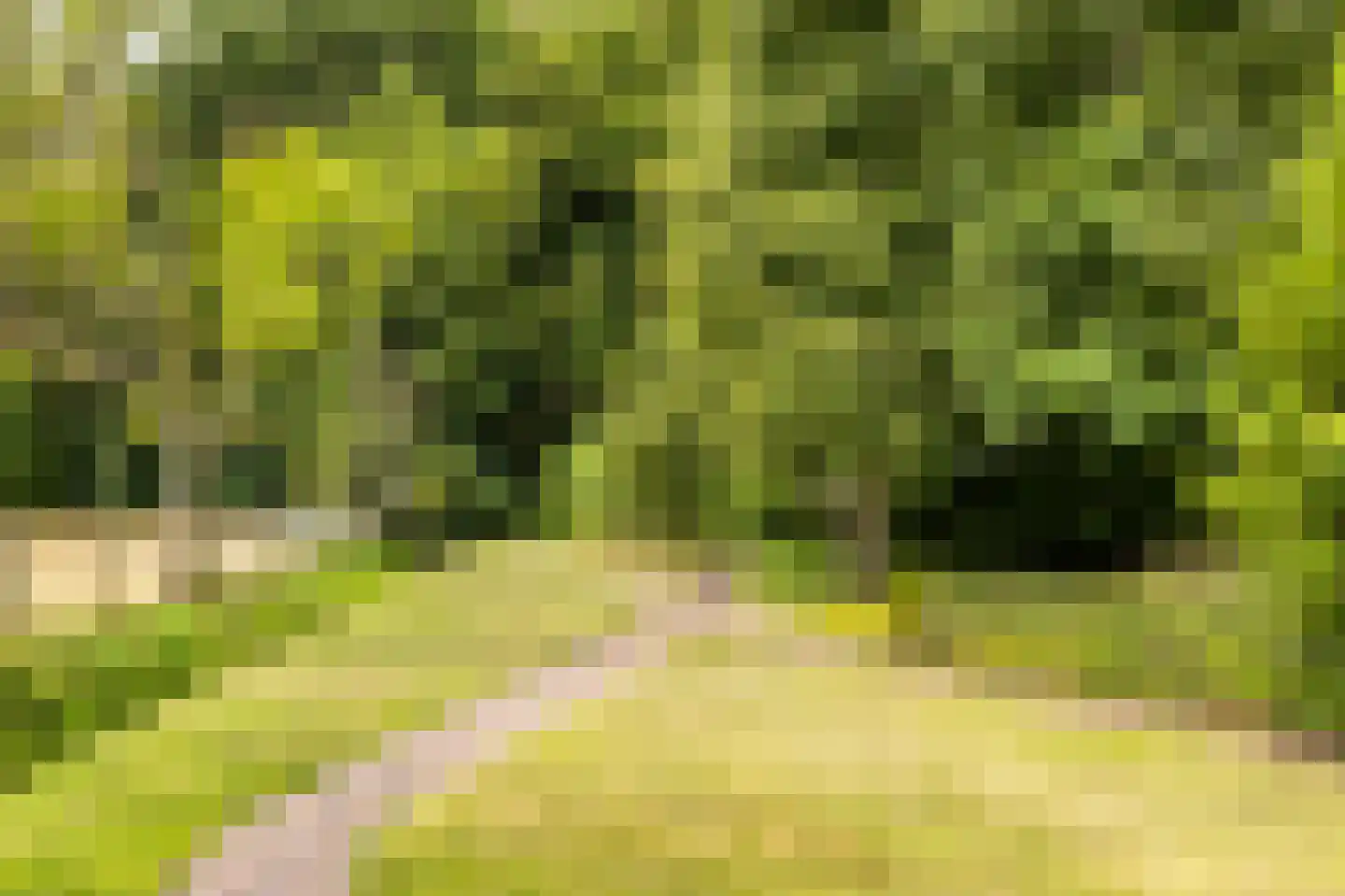 Heveringseweg 54 Oostvoorne thumbnail 51