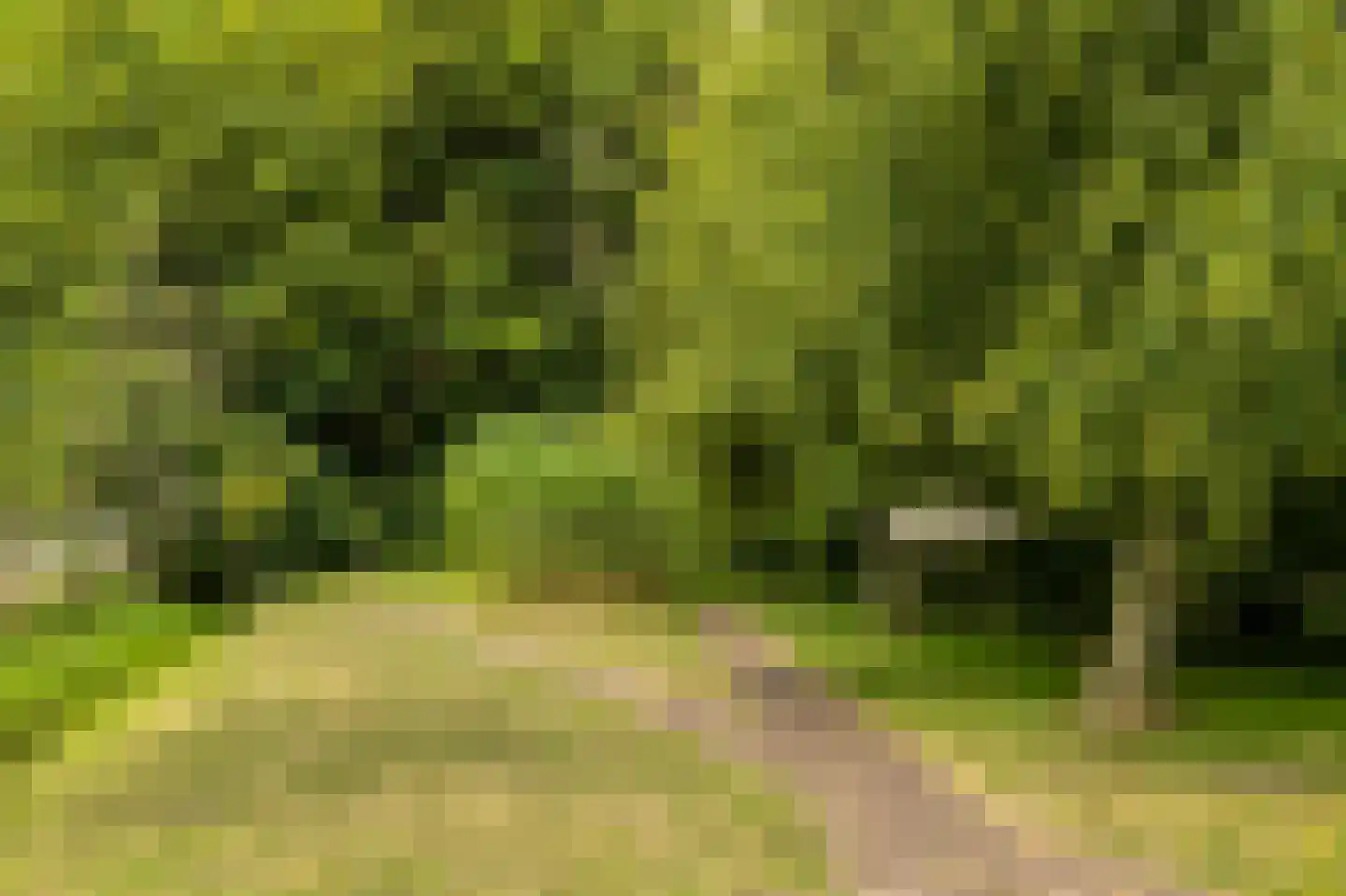 Heveringseweg 54 Oostvoorne thumbnail 52