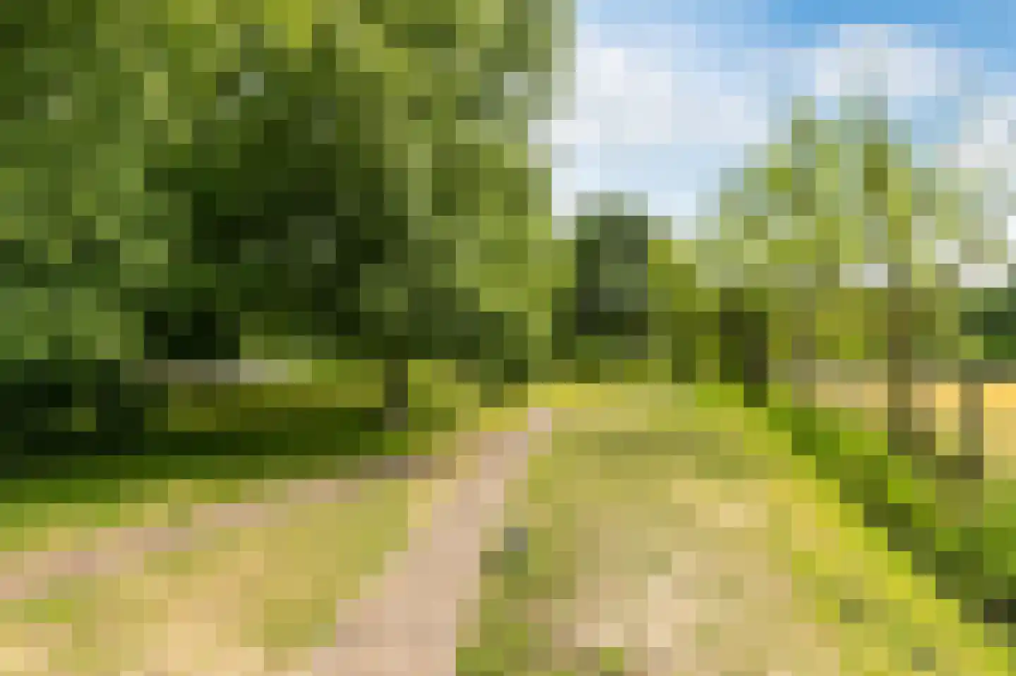 Heveringseweg 54 Oostvoorne thumbnail 53