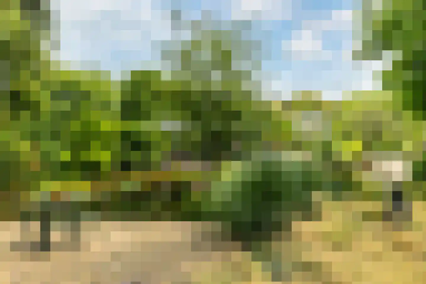 Heveringseweg 54 Oostvoorne thumbnail 55