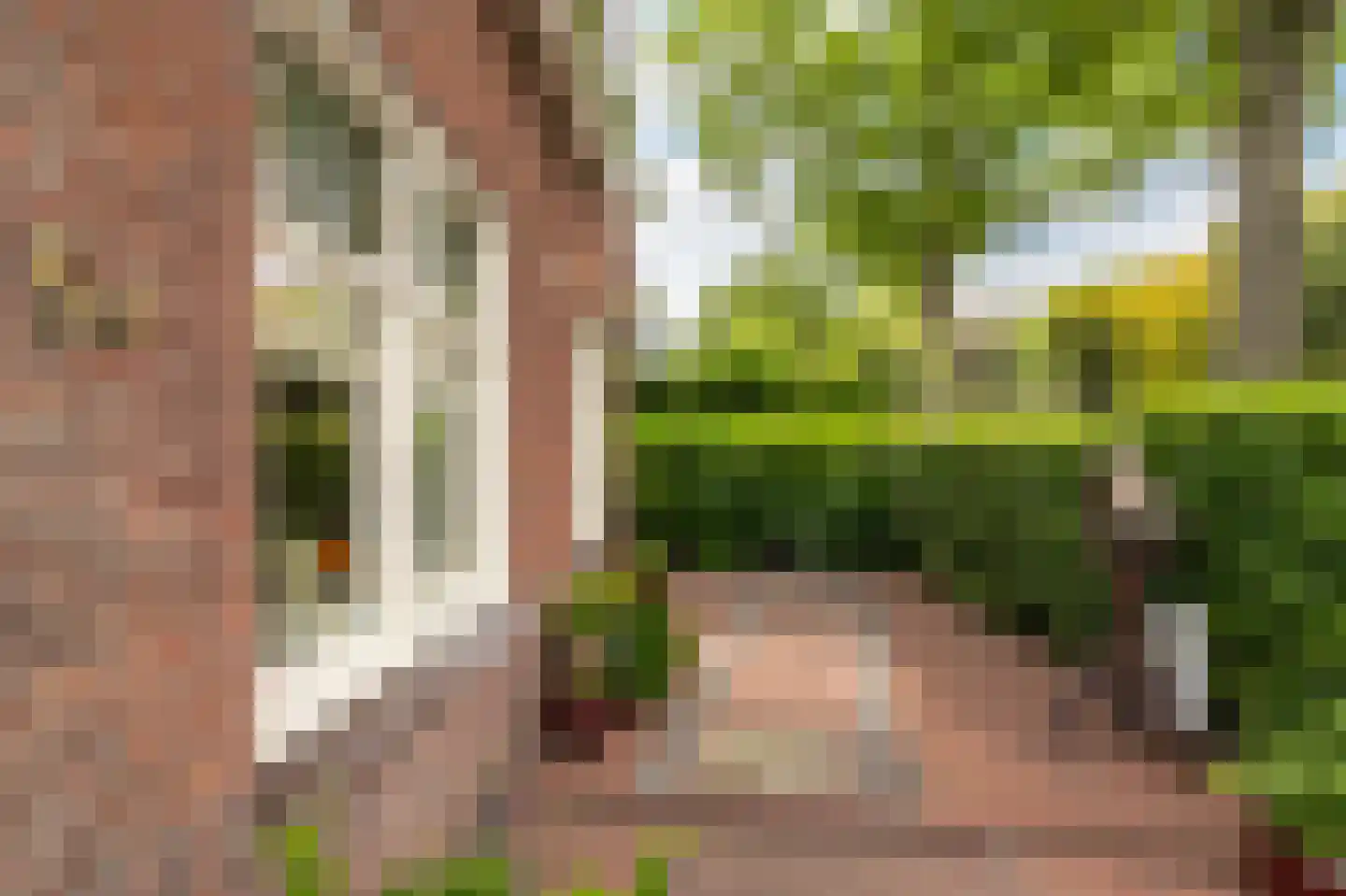 Heveringseweg 54 Oostvoorne thumbnail 7