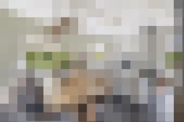 Heveringseweg 64 Oostvoorne thumbnail 10
