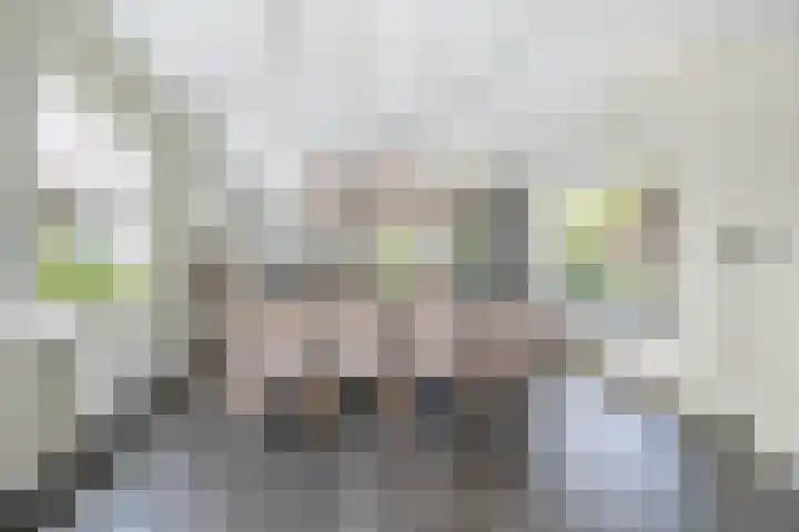 Heveringseweg 64 Oostvoorne thumbnail 11