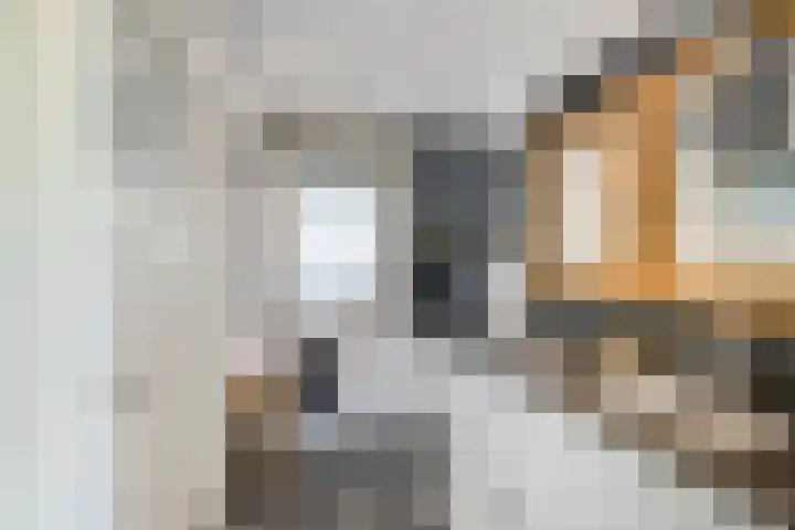Heveringseweg 64 Oostvoorne thumbnail 21