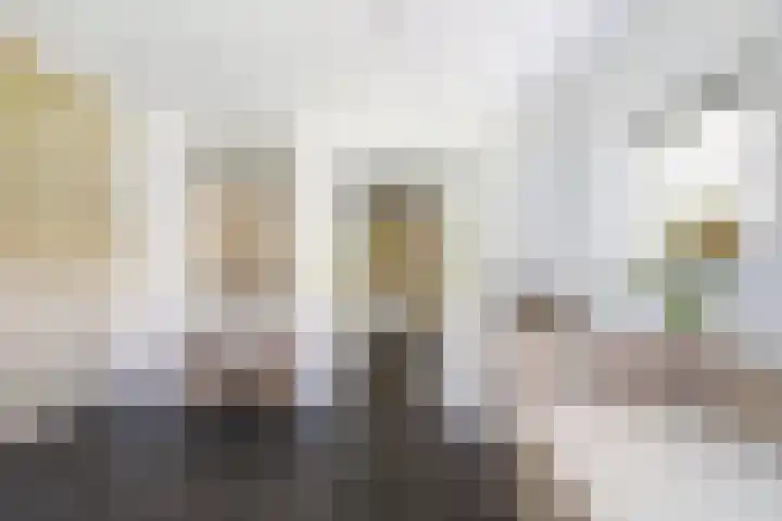 Heveringseweg 64 Oostvoorne thumbnail 25