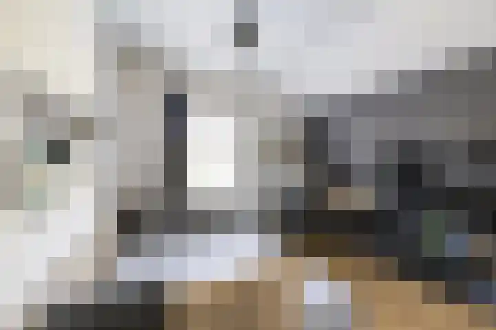 Heveringseweg 64 Oostvoorne thumbnail 34